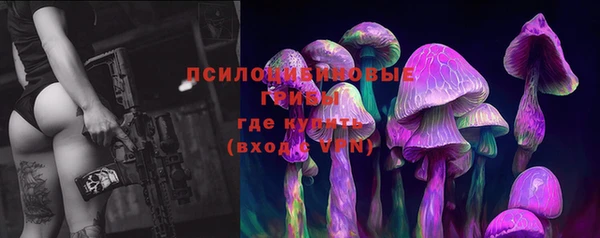 круглые Алзамай