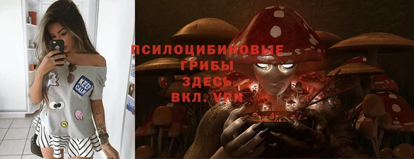 СК Алексеевка