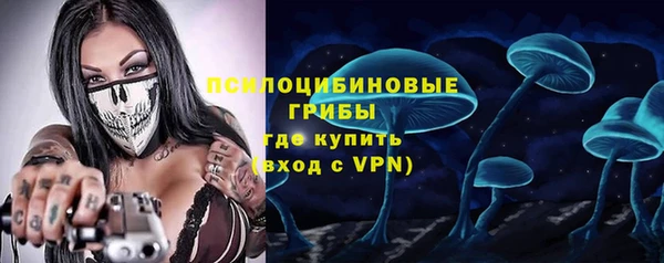 кокс Алексин