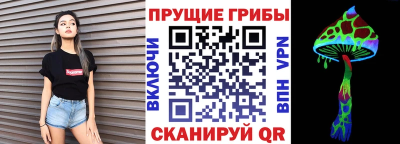 Галлюциногенные грибы Cubensis  где можно купить наркотик  Себеж 